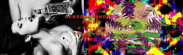 прущая мука Няндома