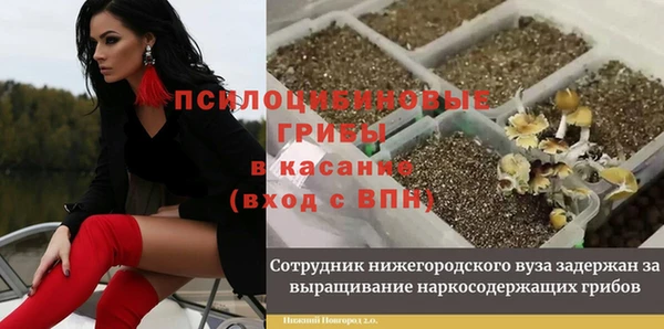 стаф Нязепетровск