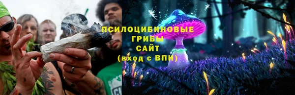 прущая мука Няндома
