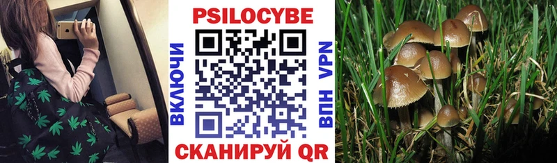 ОМГ ОМГ онион  Удомля  Псилоцибиновые грибы Magic Shrooms 