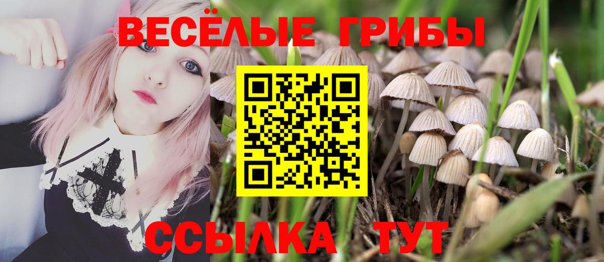 Амфетамин Удомля